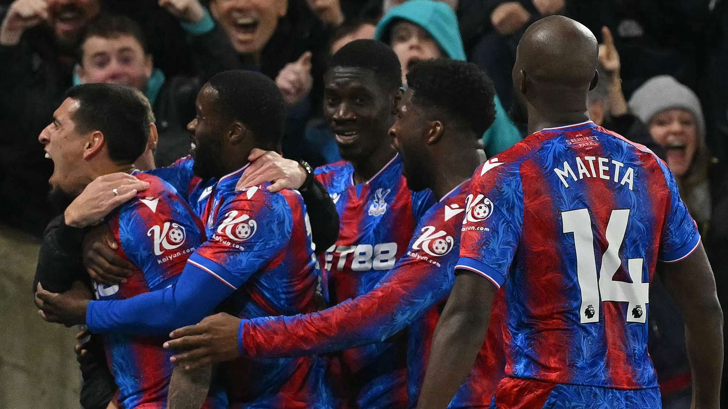 所期望的一 所期望的一