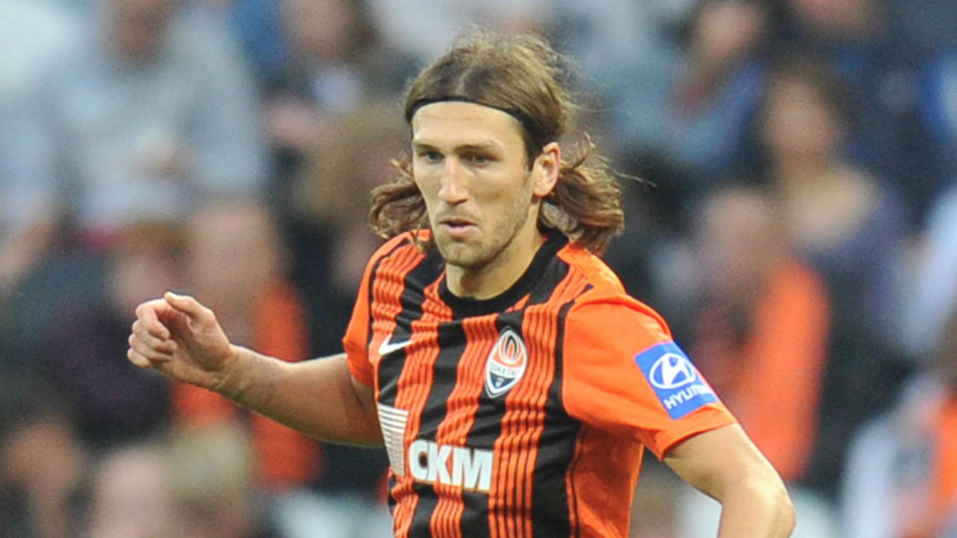 赢得了广泛 赢得了广泛